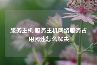 服务主机,服务主机网络服务占用网速怎么解决