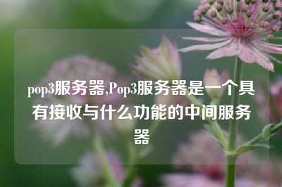 pop3服务器,Pop3服务器是一个具有接收与什么功能的中间服务器