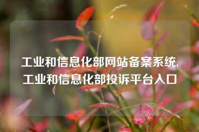 工业和信息化部网站备案系统,工业和信息化部投诉平台入口