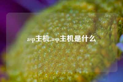 asp主机,asp主机是什么