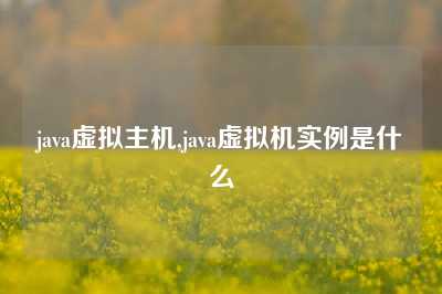 java虚拟主机,java虚拟机实例是什么