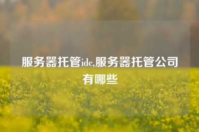 服务器托管idc,服务器托管公司有哪些