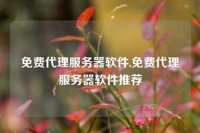 免费代理服务器软件,免费代理服务器软件推荐