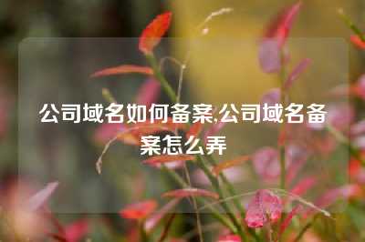 公司域名如何备案,公司域名备案怎么弄