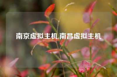 南京虚拟主机,南昌虚拟主机