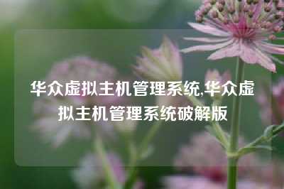 华众虚拟主机管理系统,华众虚拟主机管理系统破解版