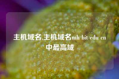 主机域名,主机域名mh bit edu cn中最高域