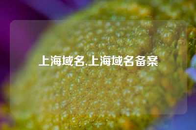 上海域名,上海域名备案