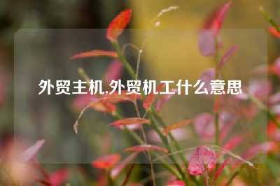 外贸主机,外贸机工什么意思