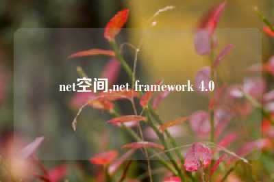 net空间,net framework 4.0