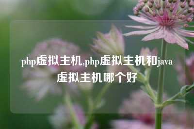 php虚拟主机,php虚拟主机和java虚拟主机哪个好