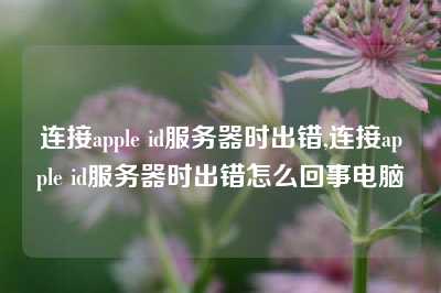 连接apple id服务器时出错,连接apple id服务器时出错怎么回事电脑