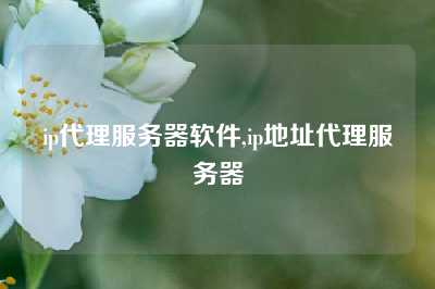 ip代理服务器软件,ip地址代理服务器