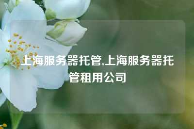 上海服务器托管,上海服务器托管租用公司
