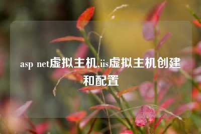 asp net虚拟主机,iis虚拟主机创建和配置