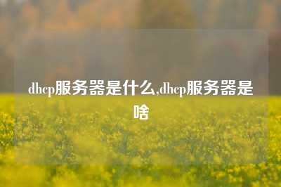 dhcp服务器是什么,dhcp服务器是啥