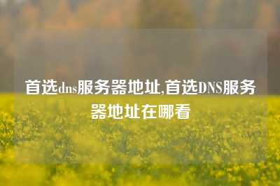 首选dns服务器地址,首选DNS服务器地址在哪看
