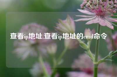 查看ip地址,查看ip地址的cmd命令
