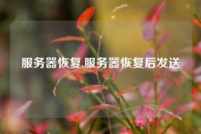 服务器恢复,服务器恢复后发送