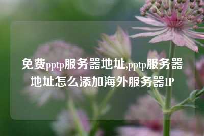 免费pptp服务器地址,pptp服务器地址怎么添加海外服务器IP