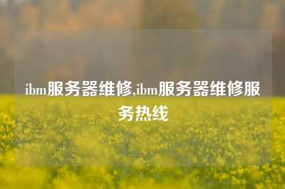 ibm服务器维修,ibm服务器维修服务热线