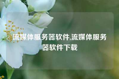 流媒体服务器软件,流媒体服务器软件下载