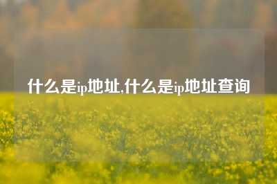 什么是ip地址,什么是ip地址查询