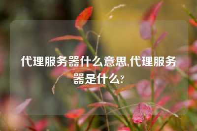 代理服务器什么意思,代理服务器是什么?