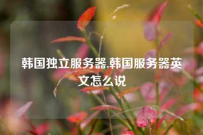 韩国独立服务器,韩国服务器英文怎么说