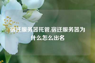 宿迁服务器托管,宿迁服务器为什么怎么出名