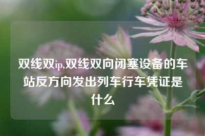 双线双ip,双线双向闭塞设备的车站反方向发出列车行车凭证是什么