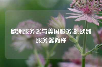 欧洲服务器与美国服务器,欧洲服务器简称
