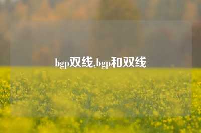 bgp双线,bgp和双线