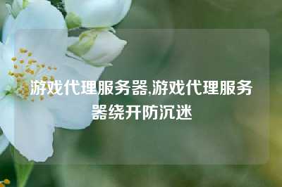 游戏代理服务器,游戏代理服务器绕开防沉迷