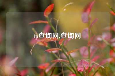 ip查询网,查询网