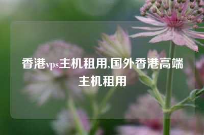 香港vps主机租用,国外香港高端主机租用