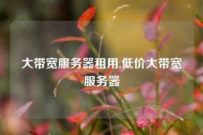 大带宽服务器租用,低价大带宽服务器