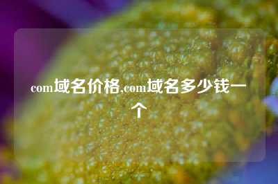 com域名价格,com域名多少钱一个