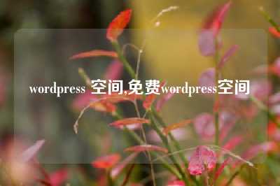 wordpress 空间,免费wordpress空间