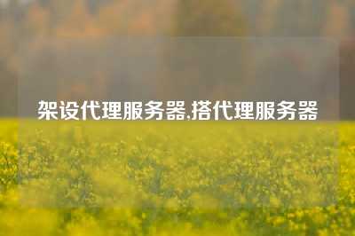 架设代理服务器,搭代理服务器