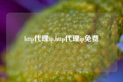 http代理ip,http代理ip免费