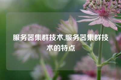 服务器集群技术,服务器集群技术的特点
