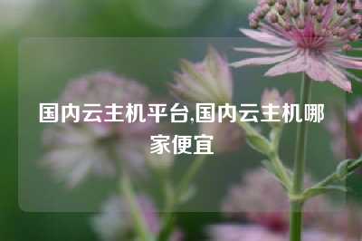 国内云主机平台,国内云主机哪家便宜