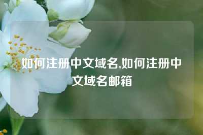 如何注册中文域名,如何注册中文域名邮箱