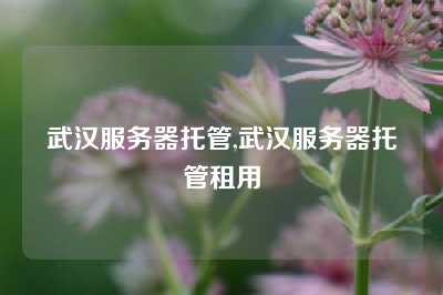 武汉服务器托管,武汉服务器托管租用