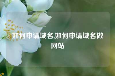 如何申请域名,如何申请域名做网站