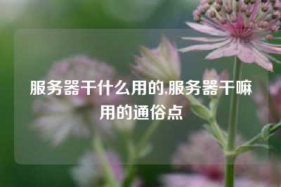 服务器干什么用的,服务器干嘛用的通俗点