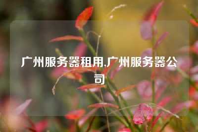 广州服务器租用,广州服务器公司