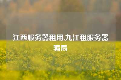 江西服务器租用,九江租服务器骗局
