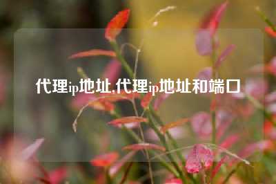 代理ip地址,代理ip地址和端口